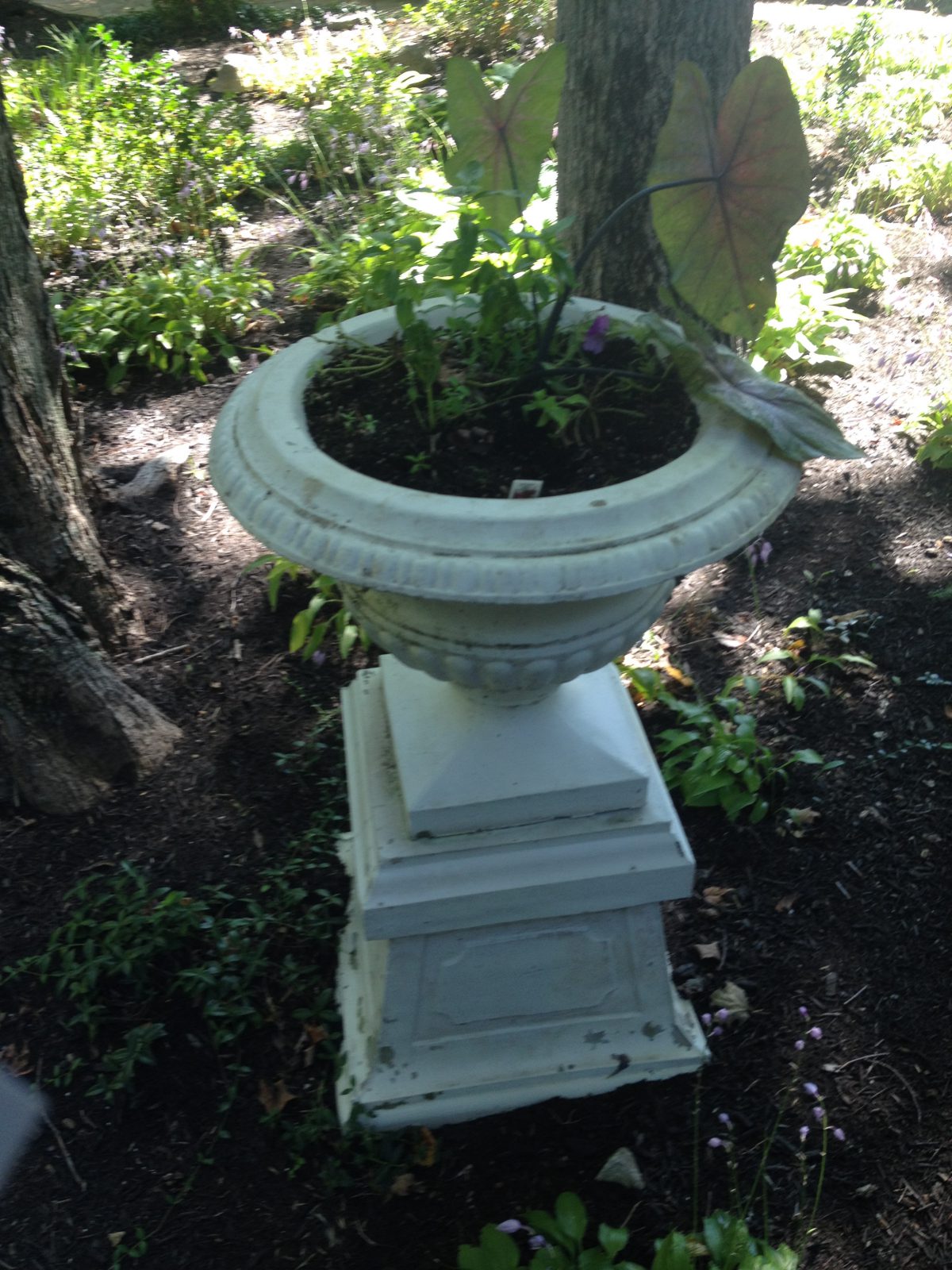 When good flowers go bad