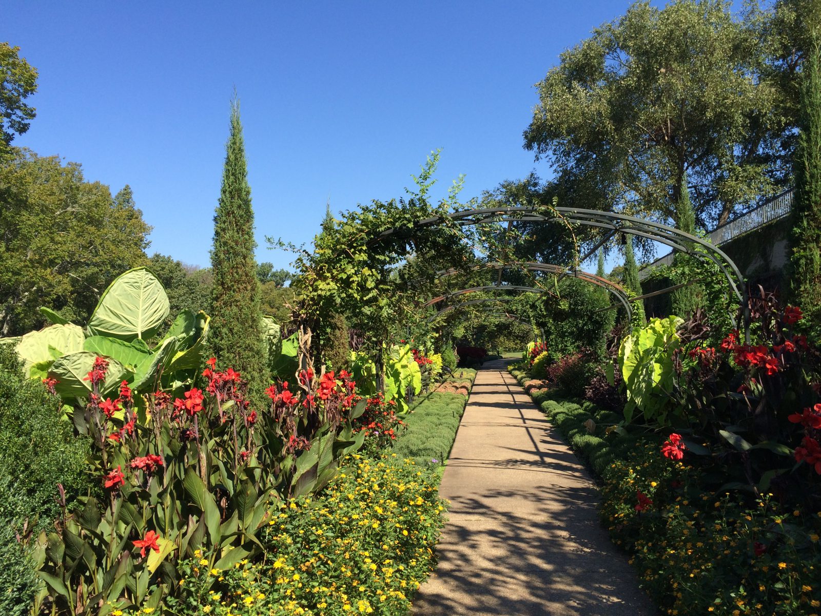 Cheekwood Botanical Gardens and Museum of Art