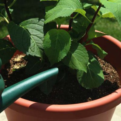 GardenSelectPlantersPlace-2