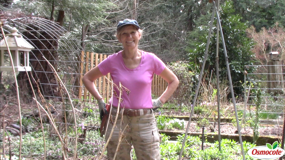 Pruning Tips that make quick work of perennials. Marianne Binetti shows how to prune, fertilize, and support perennials for great summer blooms!