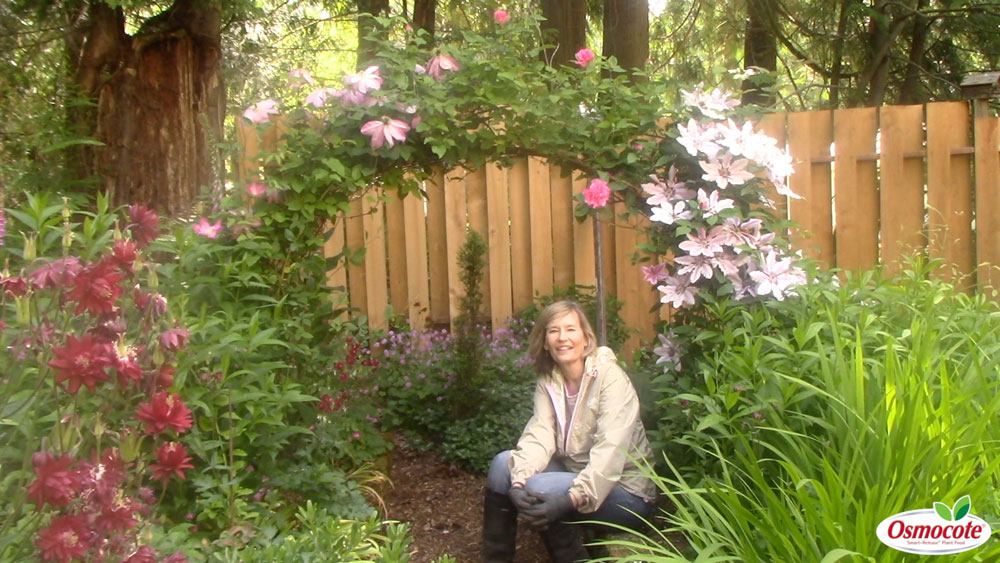 Garden arches are a beautiful addition to any garden. Expert Marianne Binetti explains what inspired her garden arch and gives tips for caring for it!